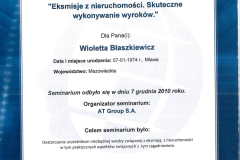Eksmisje-z-nieruchomosci.-Skuteczne-wykonywanie-wyrokow.-7-grudzien-2010r
